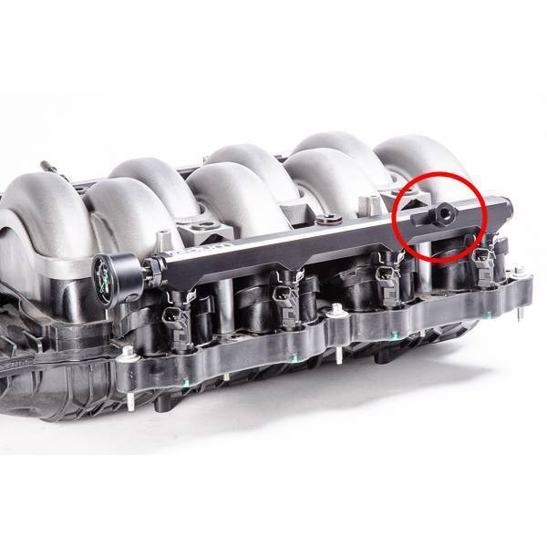 Radium M10x1mm Female to 1/8NPT Male Fitting - Ford Mustang GT FN 18-21