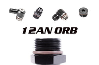 Radium 12AN ORB Plug - Radium Engineering | Coore Australia