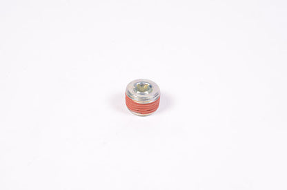 Radium NPT Round Internal Hex Plug  - Radium Engineering | Coore Australia
