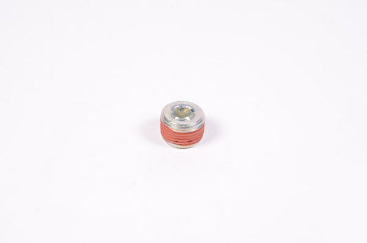 Radium 14-0173 3/8" NPT Plug, Round Internal Hex - Radium Engineering | Coore Australia