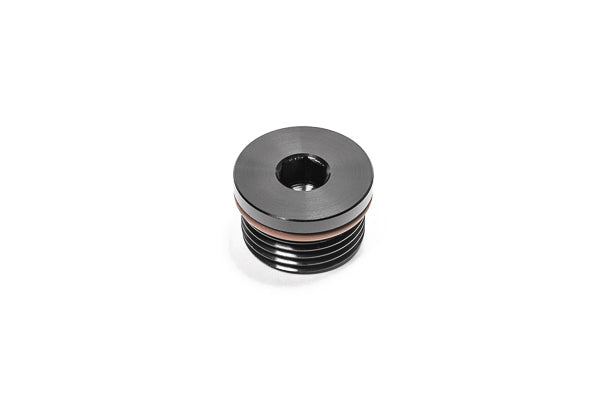 Radium 12AN ORB Plug - Radium Engineering | Coore Australia