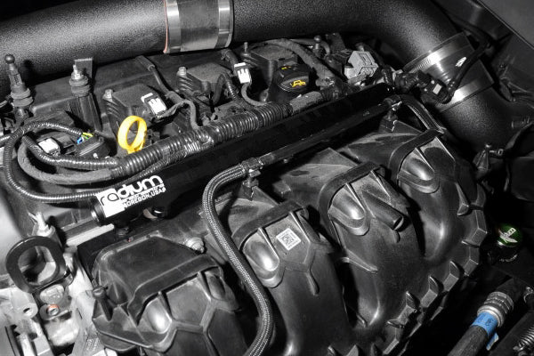 Radium 20-0326 port injection kit installed