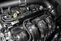 Radium 20-0326 port injection kit installed
