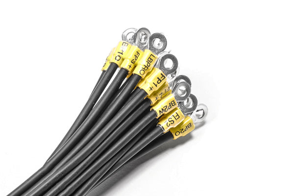 Radium Fuel Cell Subharness Kit  - Radium Engineering | Coore Australia