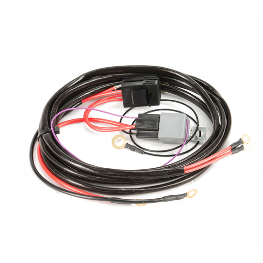 Process West Anti-Surge Twin Pump Fuel System Wiring Harness - Ford Falcon BA/BF