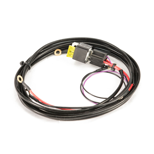 Process West Anti-Surge Single Pump Fuel System Wiring Harness - Ford Falcon BA/BF