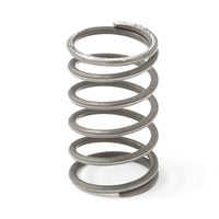GFB Replacement Diverter Valve Soft Spring – Suits T9354/T9360