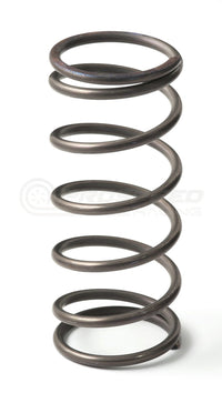 GFB Replacement EX50 Wastegate Middle Spring – 9psi