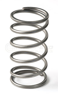 GFB Replacement EX50 Wastegate 13psi Outer Spring – Universal