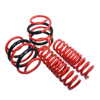 AST Lowering Springs- Volkswagen Jetta Mk6 (16)