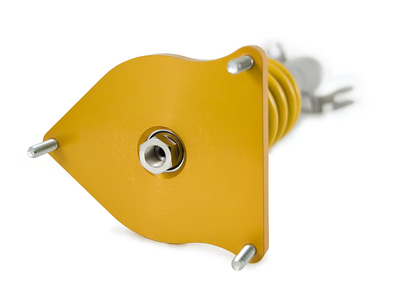 Ohlins Road & Track Coilovers - Mini Cooper R50/Cooper S R53