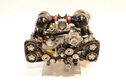 RCM Dry Sumo Oil Pump Toothed Drive Belt