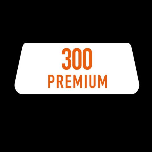 Ecutek Flash Points 300 Premium