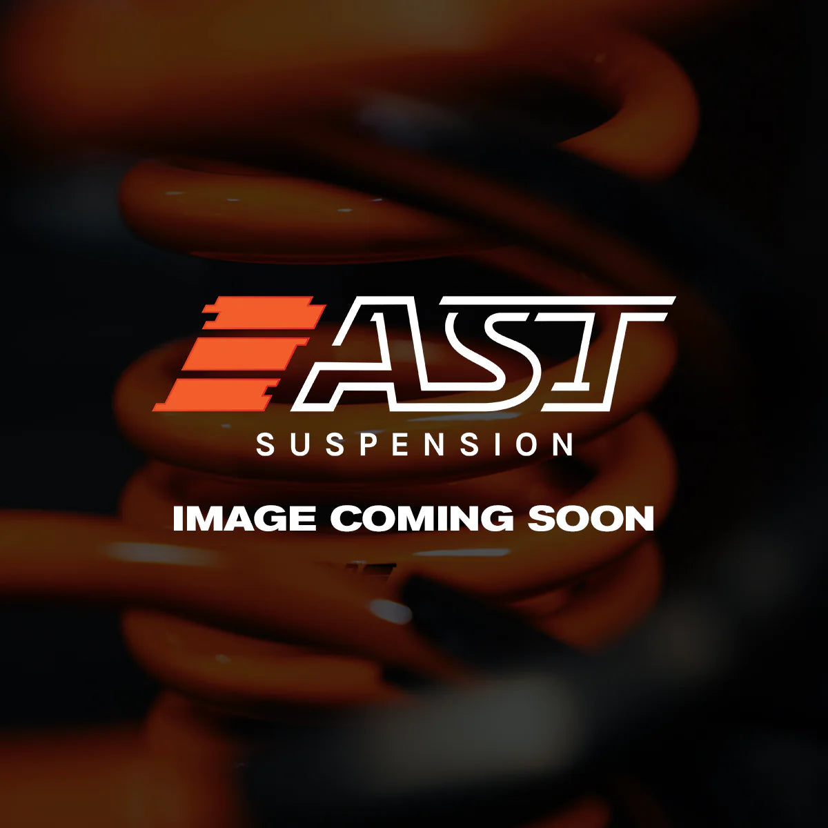 AST Digressive Piston Upgrade – Suits 40mm & 46mm AST Dampers (Set of 4)